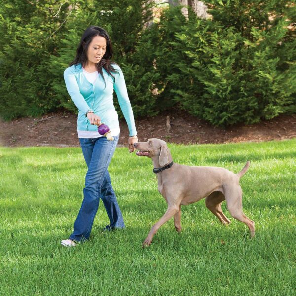 PetSafe Free to Roam Wireless Fence - Precision Shot Firearms