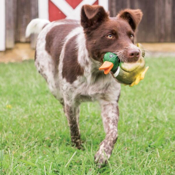 PetSafe Sportsmen Squeeze Meeze Duck - Precision Shot Firearms