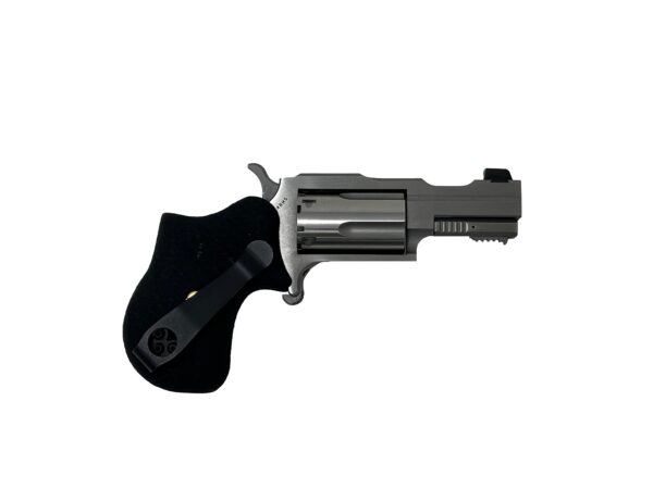 22MAG 1-5/8" RULE 1 SS XS SGHT, NAA-22M-RULE1