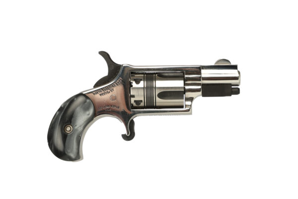 MINI 22LR REV 1-1/8" HI-POLISH, NAA-22LR-DV2