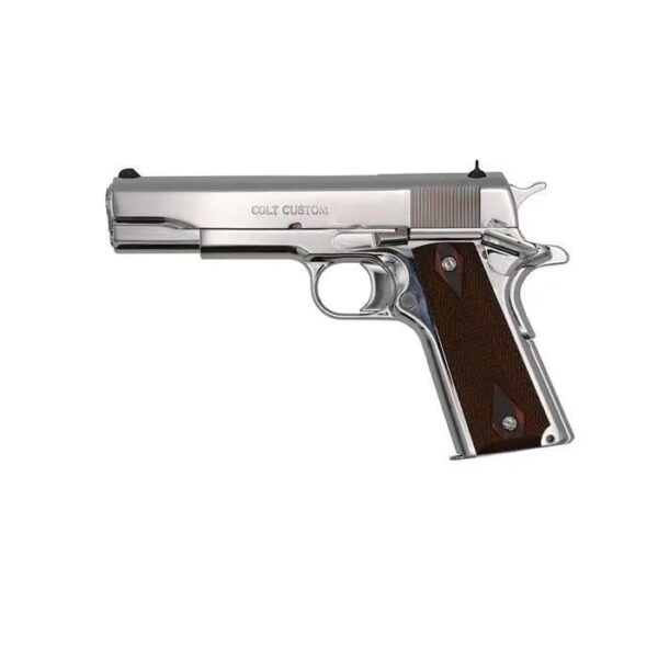 GOVERNMENT 38SUP POLISH SS 5"#, O1073BSTS