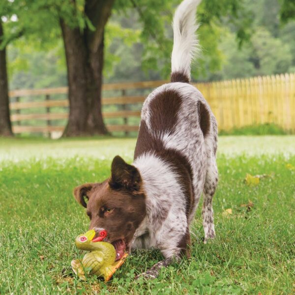 PetSafe Sportsmen Latex Meeze Turkey - Precision Shot Firearms
