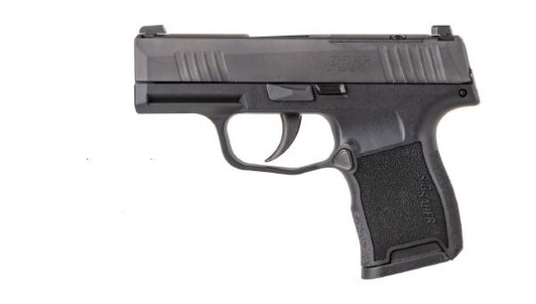 P365 380ACP BLK 10+1 NS, W365-380-BSS