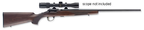 T-BOLT 22MAG SPORTER BL/WAL NS, 025175204