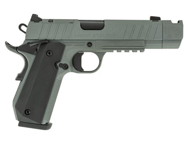 NIGHT STALKER COMP 10MM GRY, 10100134