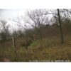 Wildgame Innovations Wraith Family & Friend Sharable Trail Camera 18MP IR Brown - Precision Shot Firearms