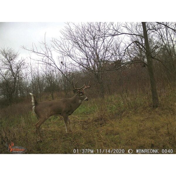 Wildgame Innovations Wraith Family & Friend Sharable Trail Camera 18MP IR Brown - Precision Shot Firearms