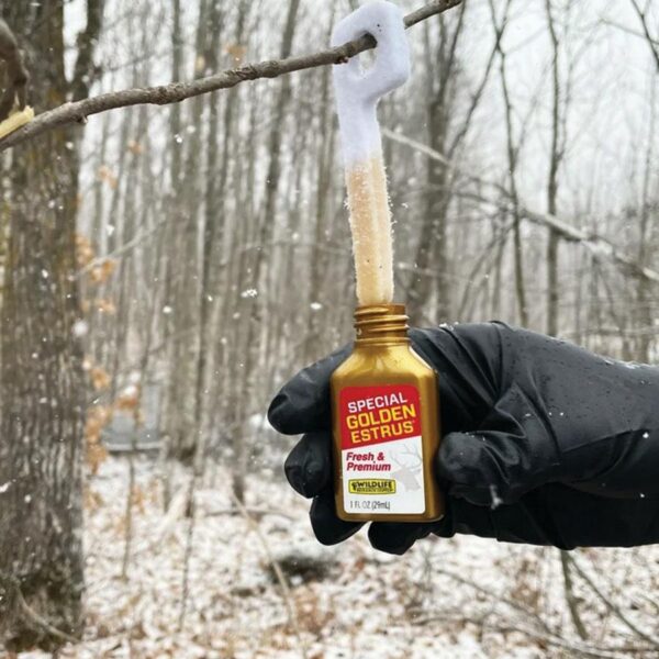Wildlife Research Special Golden Estrus - Fresh & Super Premium Whitetail Doe Urine with Estrus Secretions 1 FL OZ - Precision Shot Firearms
