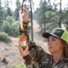 Wildlife Research Special Golden Estrus - Fresh & Super Premium Whitetail Doe Urine with Estrus Secretions 1 FL OZ - Precision Shot Firearms