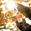 Wildlife Research Special Golden Estrus - Fresh & Super Premium Whitetail Doe Urine with Estrus Secretions 1 FL OZ - Precision Shot Firearms